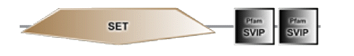 phd-23116f30.gif