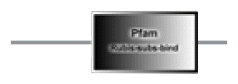 phd-23116f32.gif