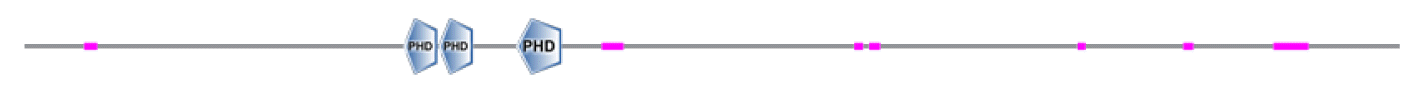 phd-23116f35.gif