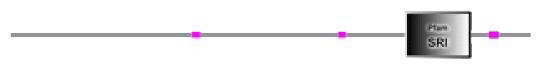 phd-23116f36.gif