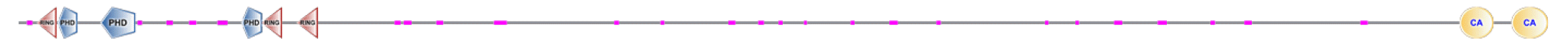 phd-23116f37.gif