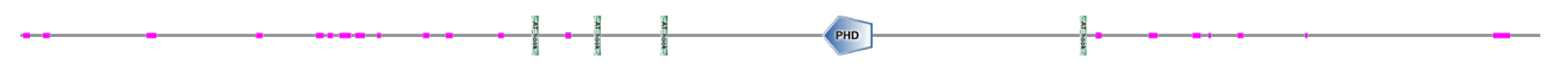 phd-23116f39.gif