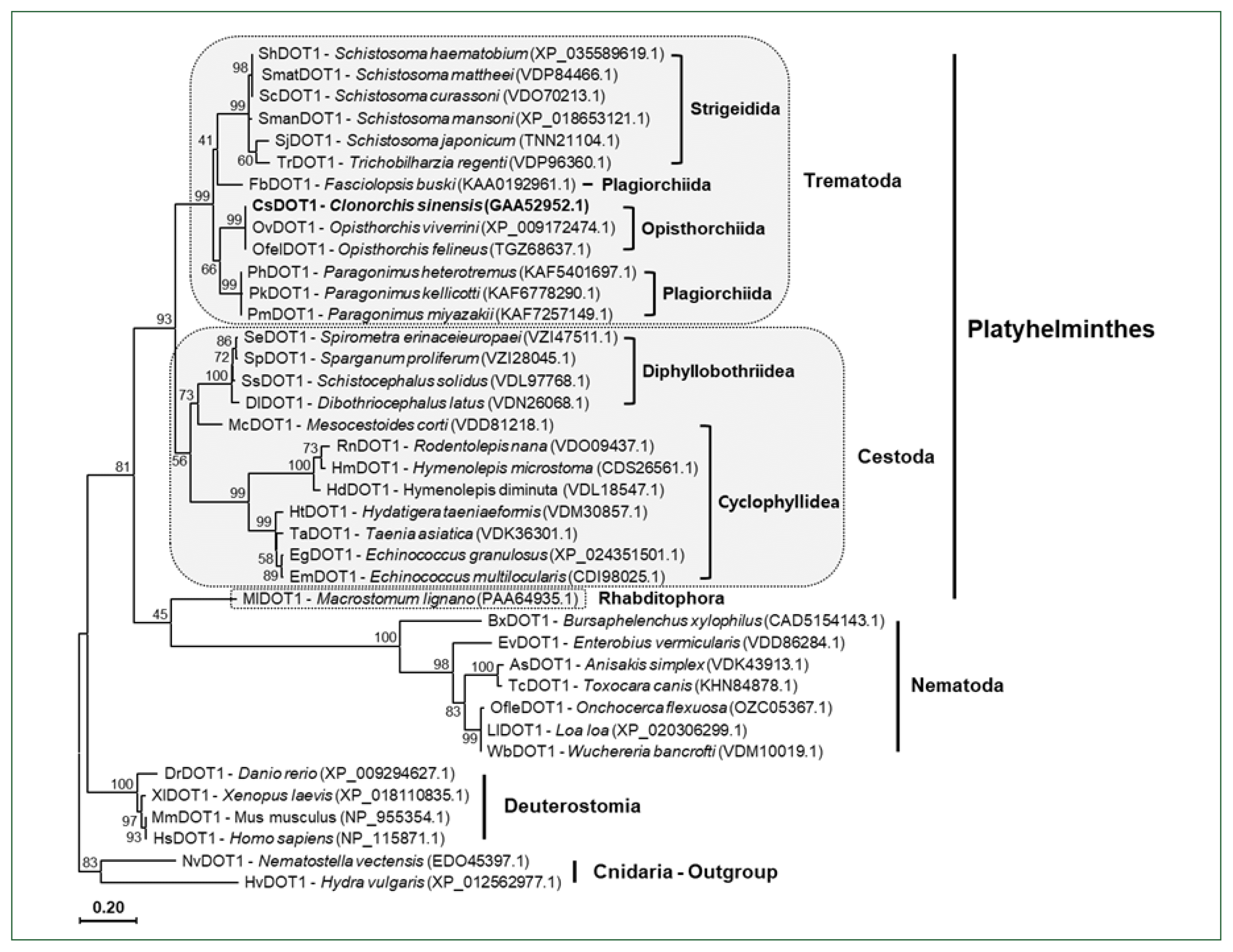 phd-23116f4.gif