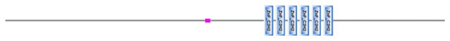 phd-23116f40.gif