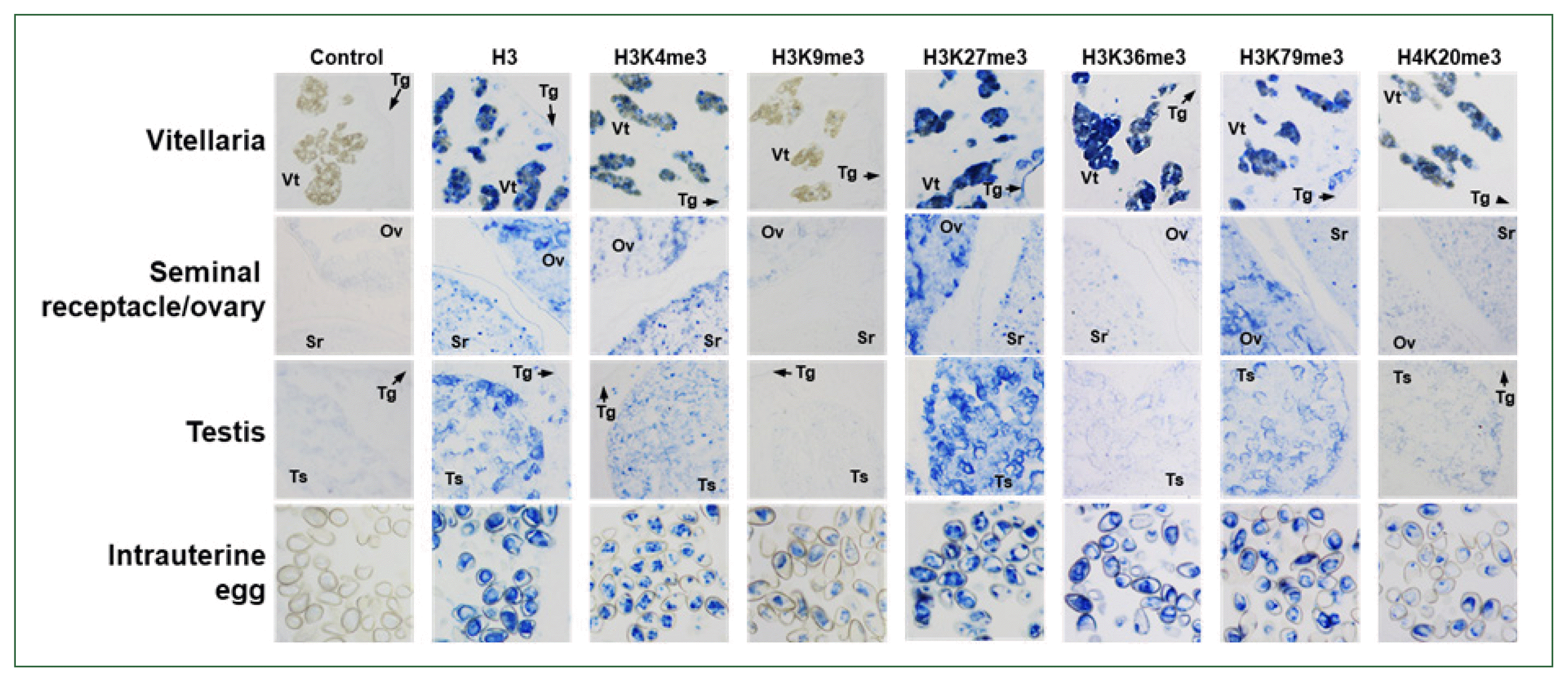 phd-23116f5.gif