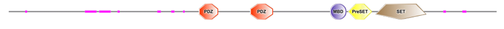 phd-23116f9.gif