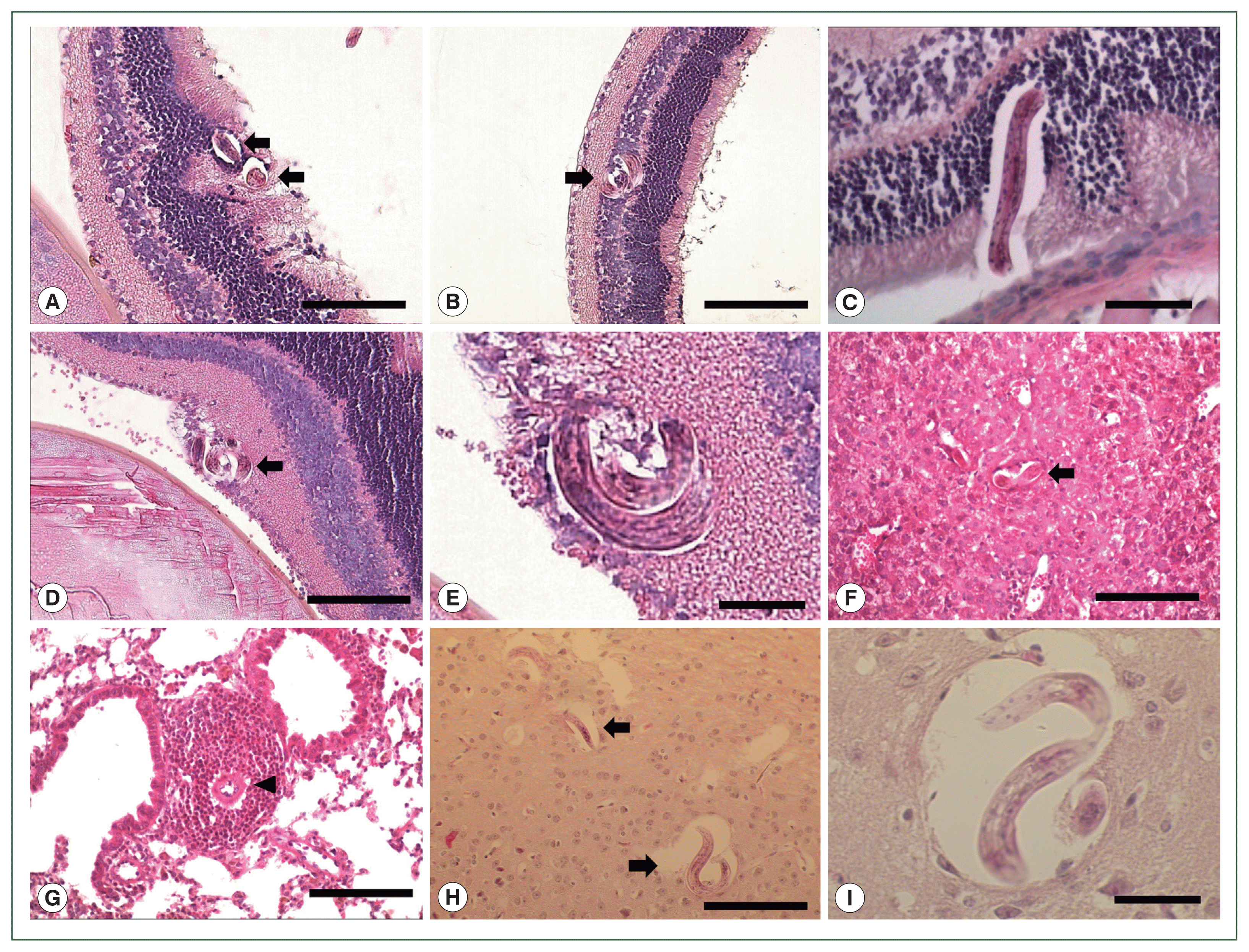 phd-23125f2.gif