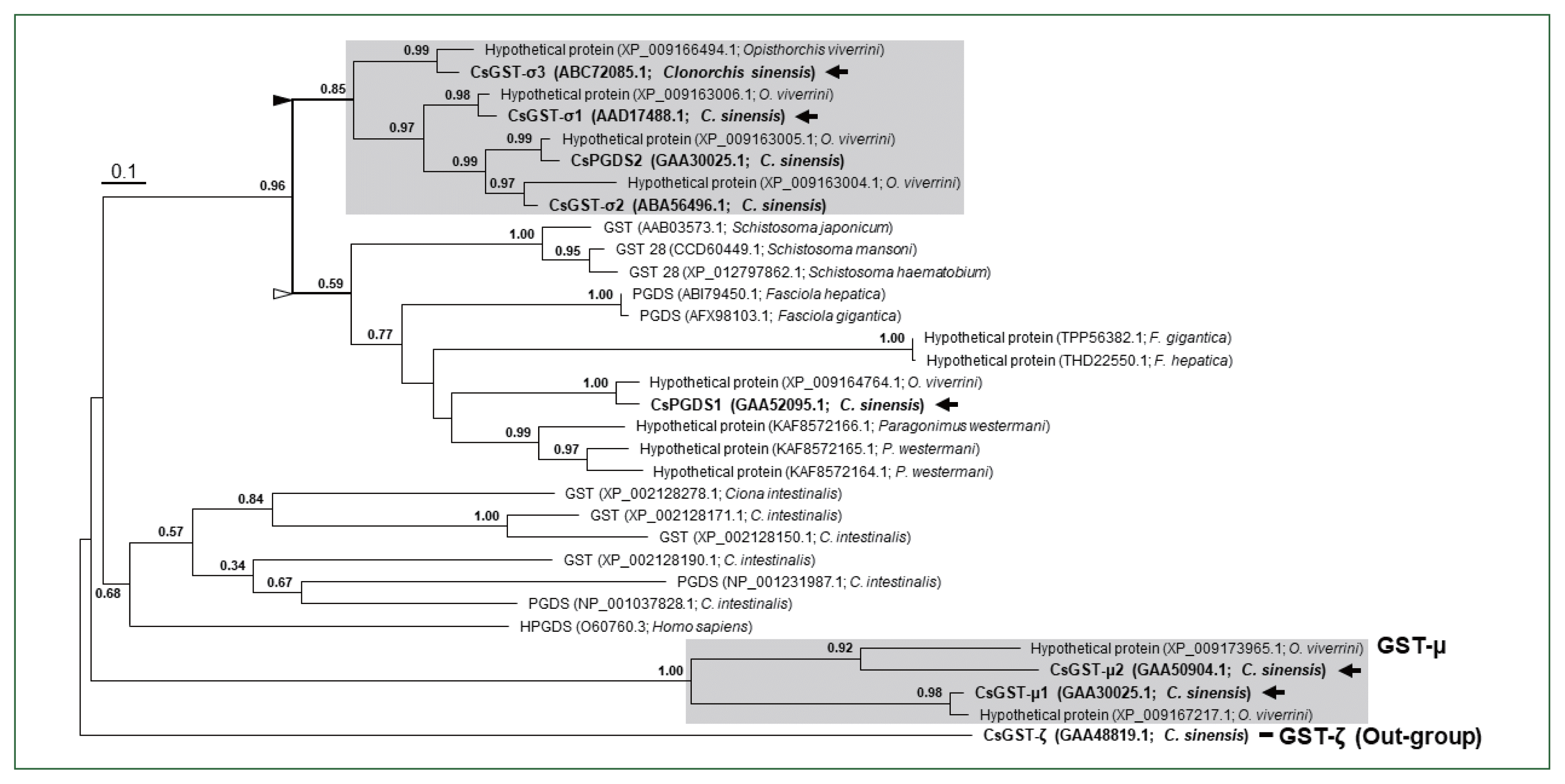 phd-24004f2.gif