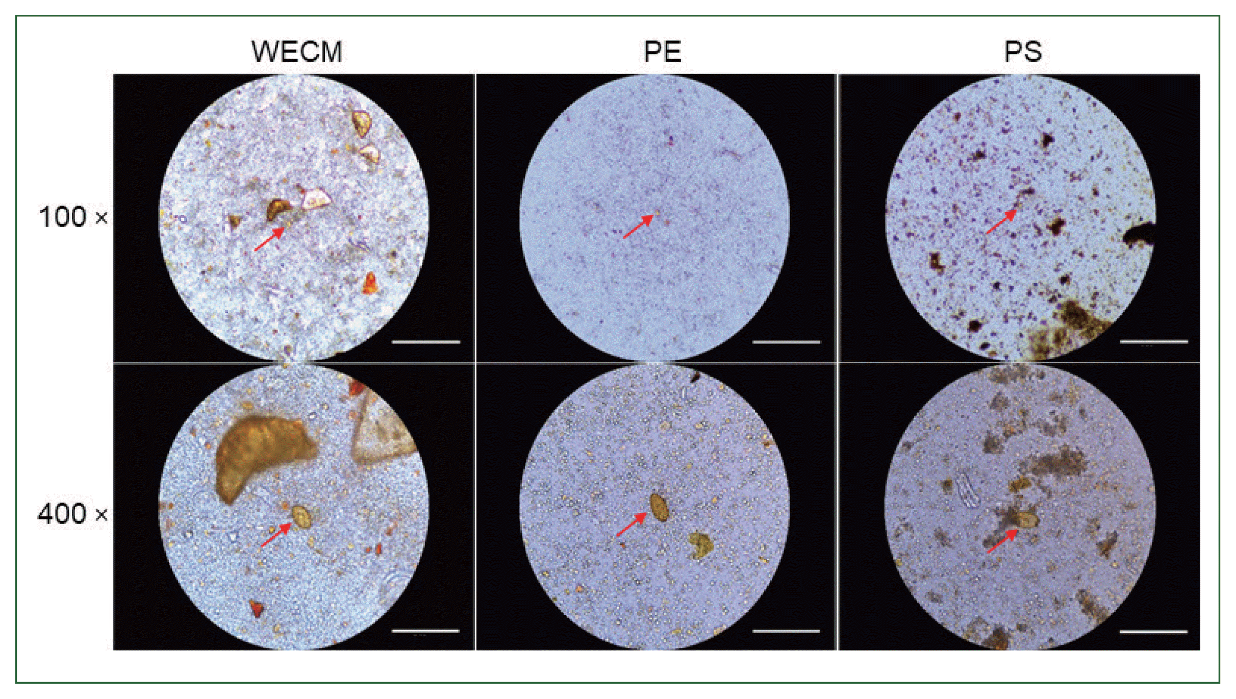 phd-24021f2.gif