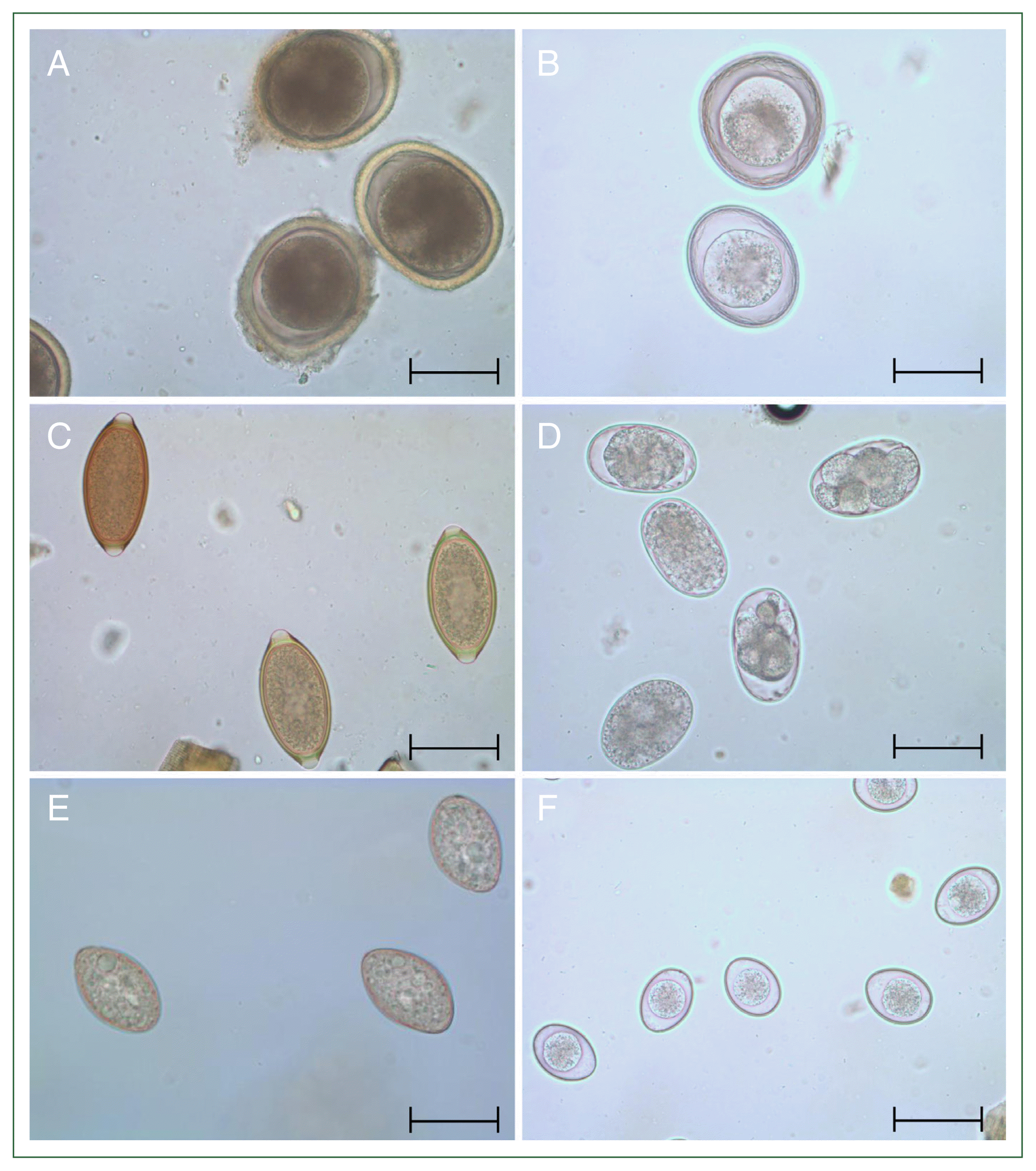 phd-24024f1.gif