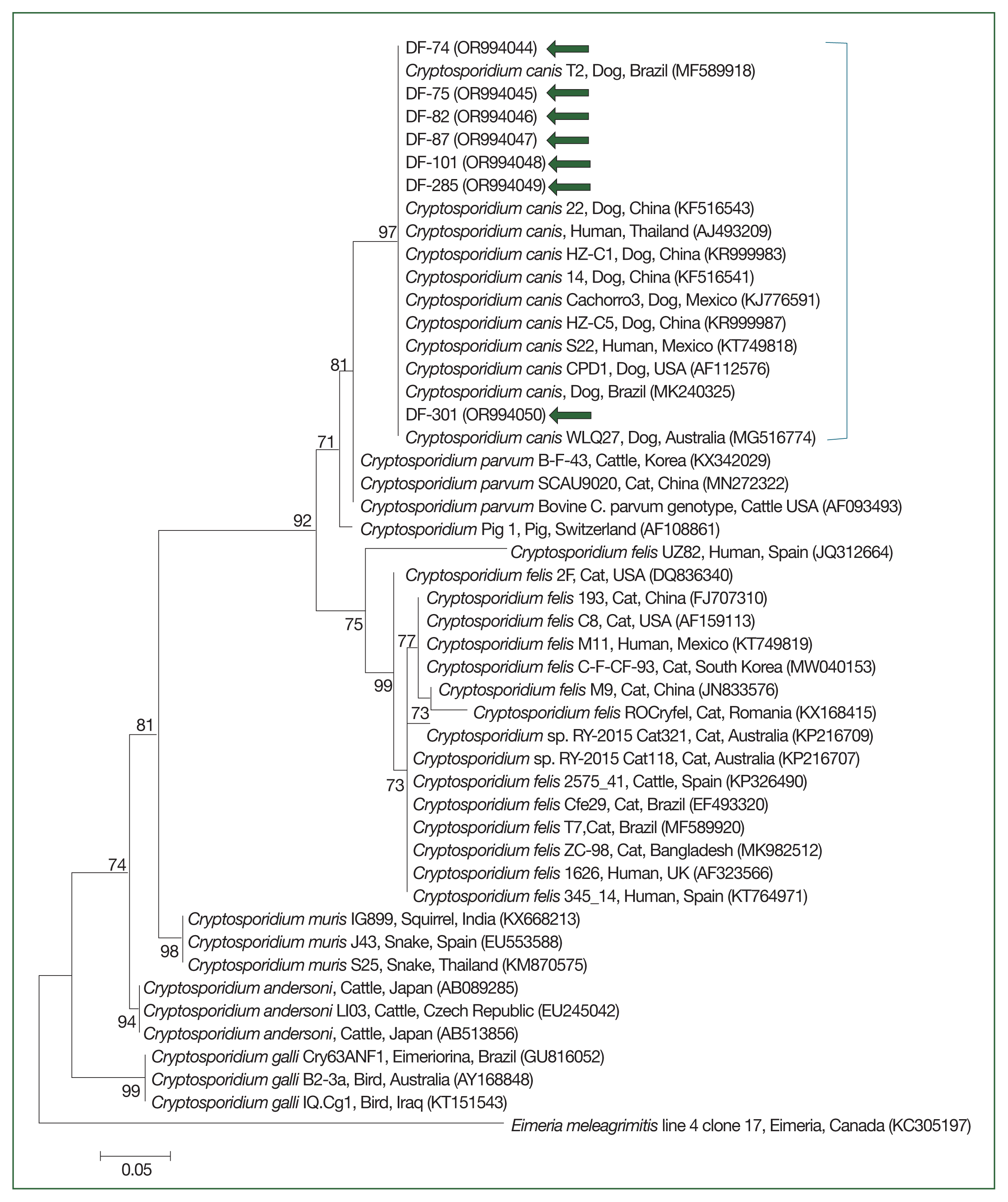 phd-24024f2.gif