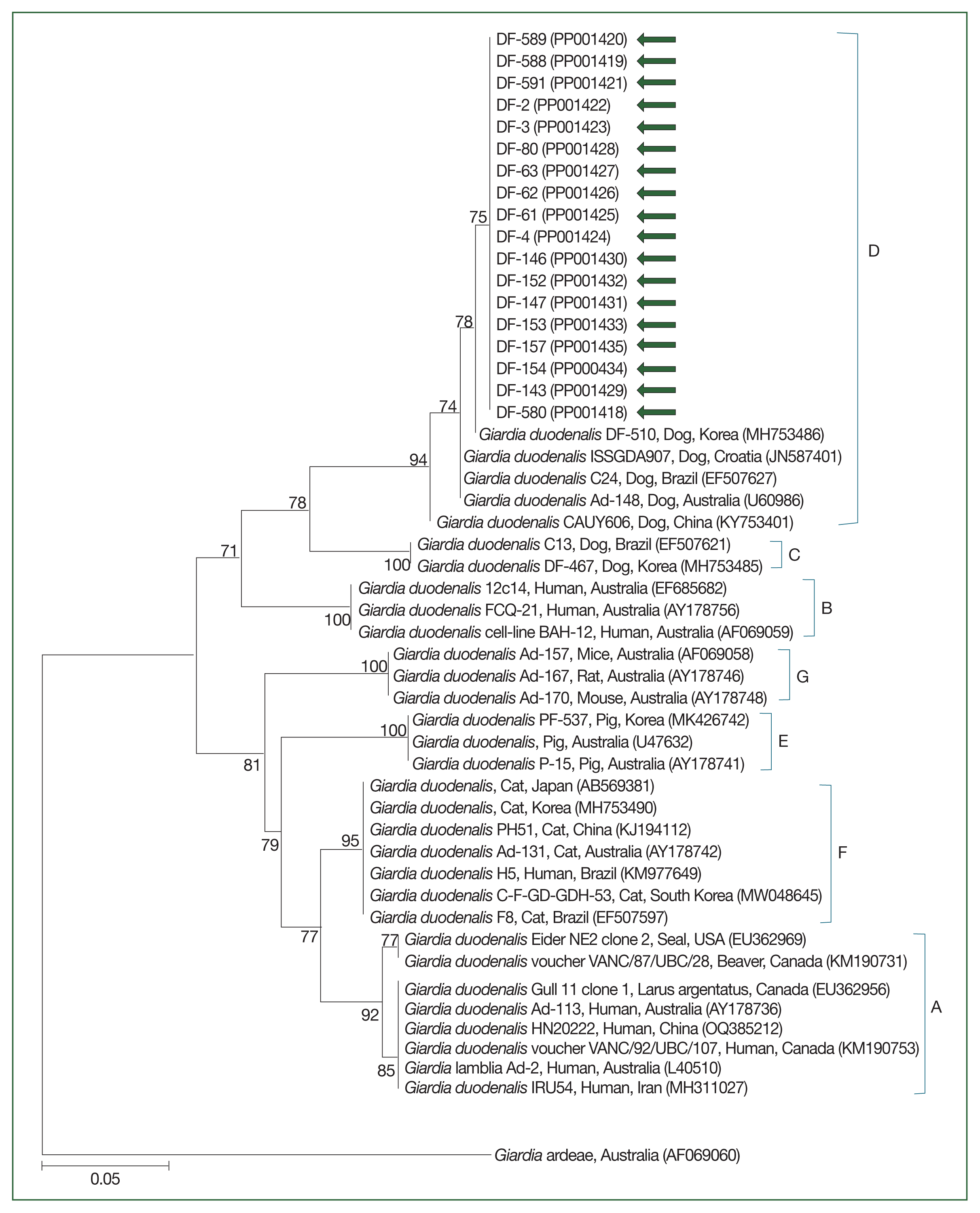 phd-24024f3.gif