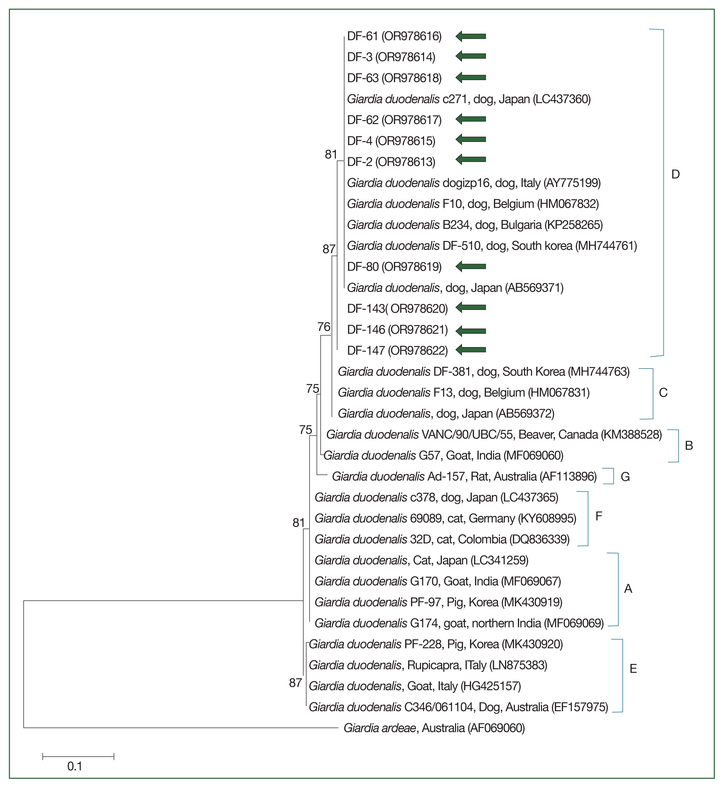 phd-24024f4.gif