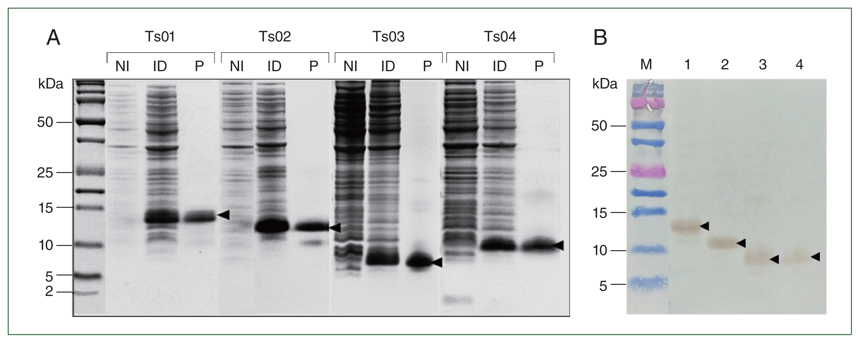 phd-24026f1.gif