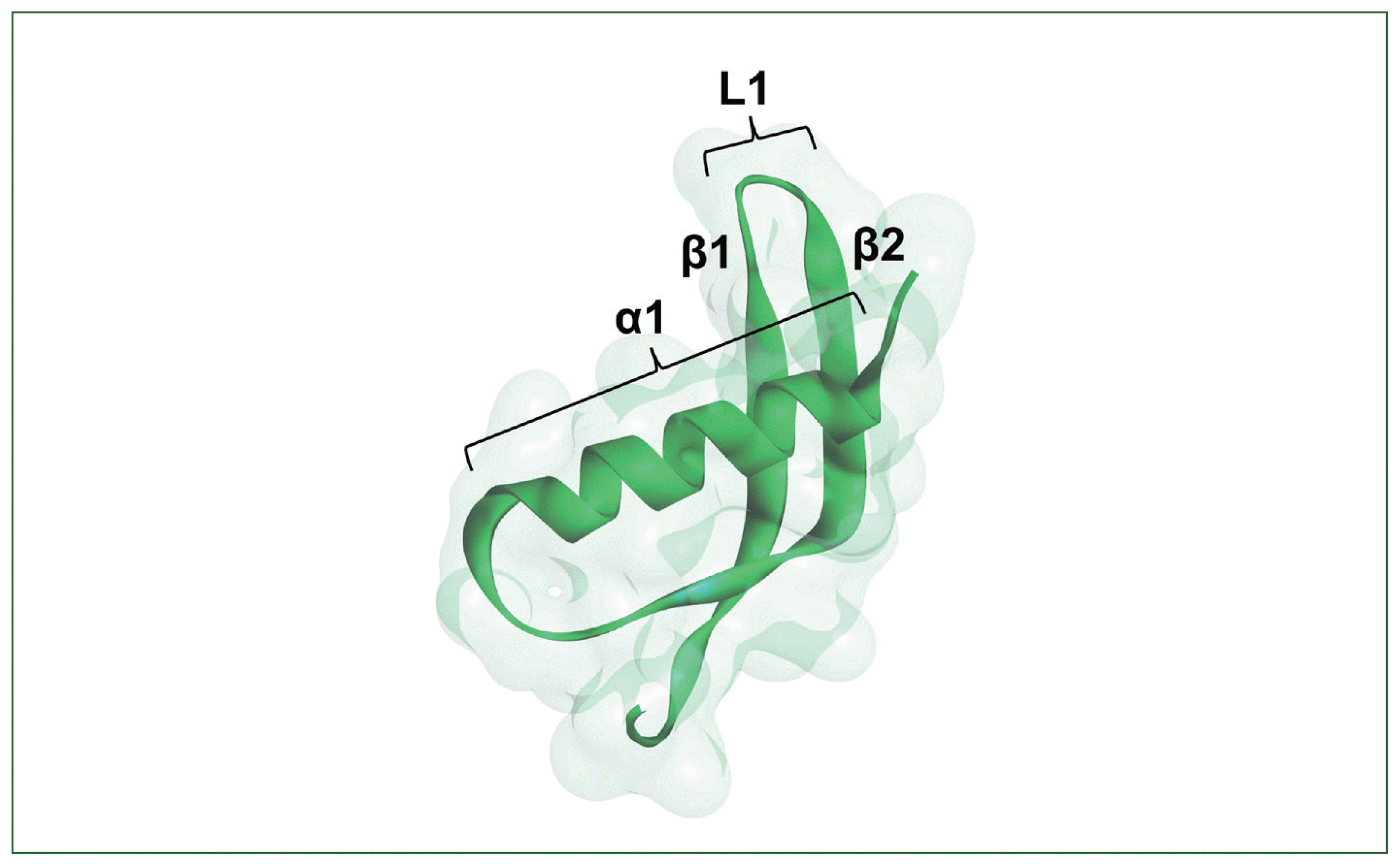 phd-24026f4.gif