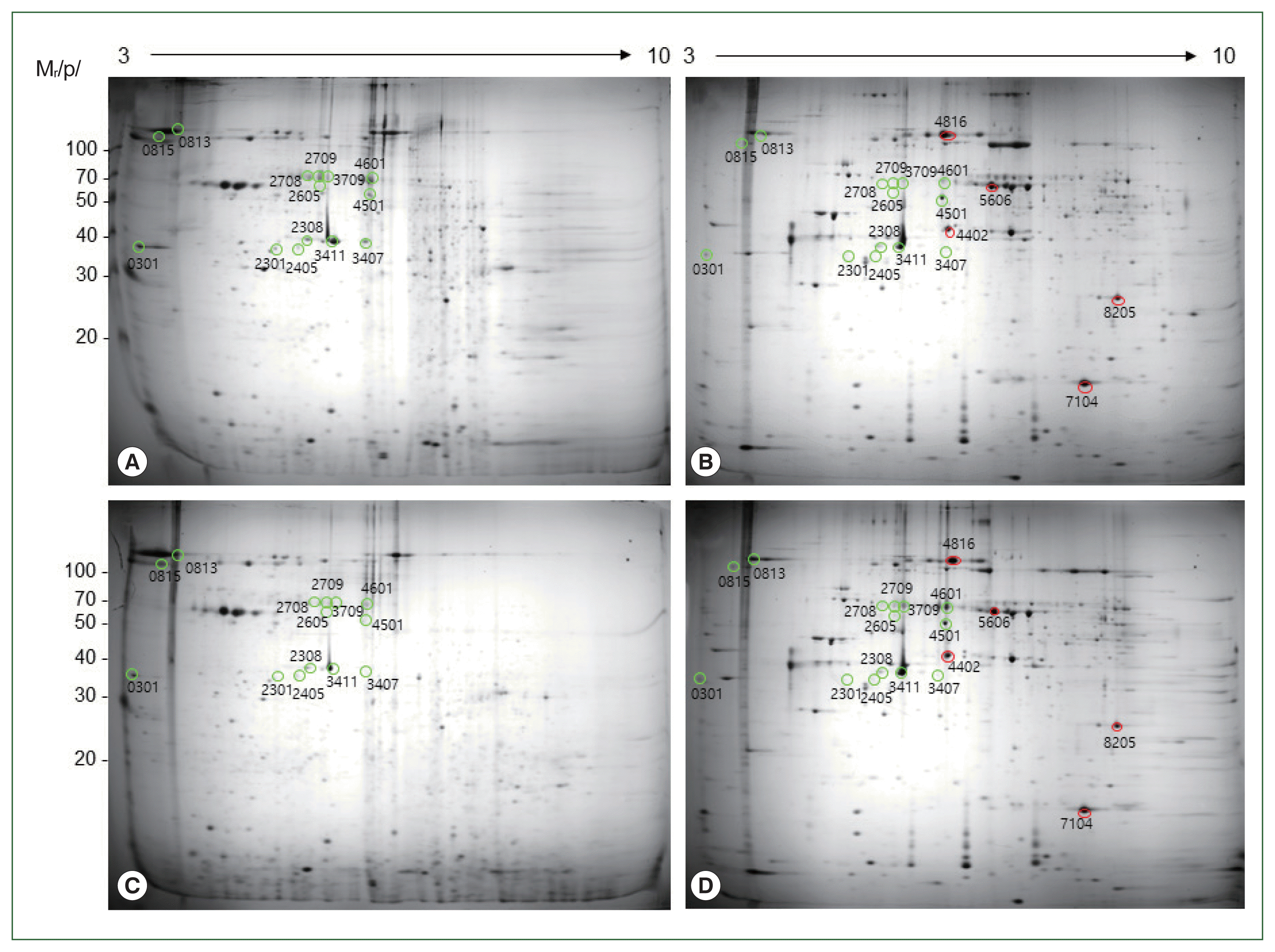 phd-24027f1.gif