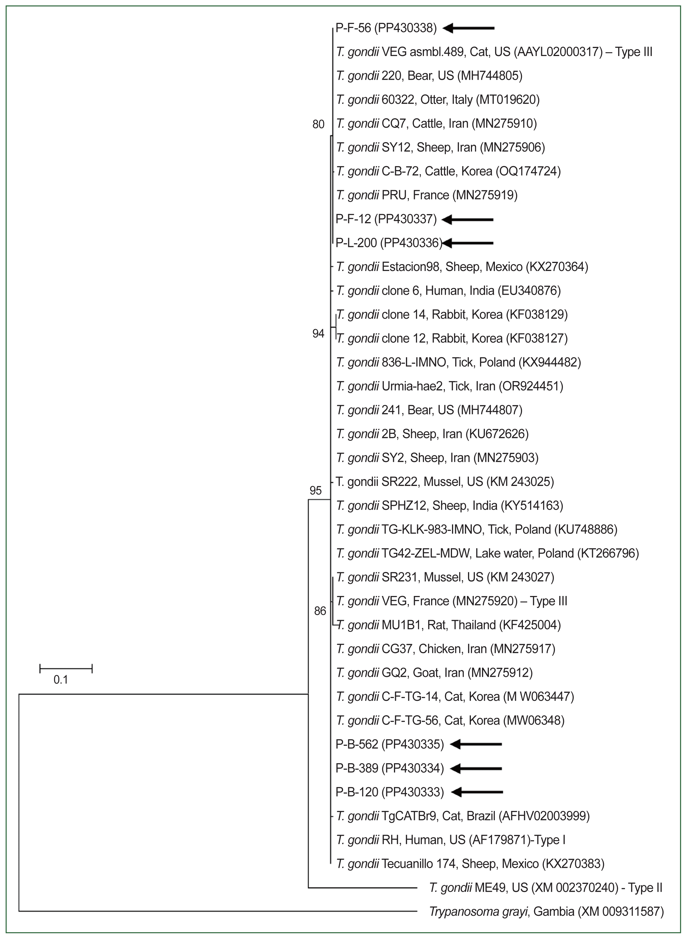 phd-24031f1.gif