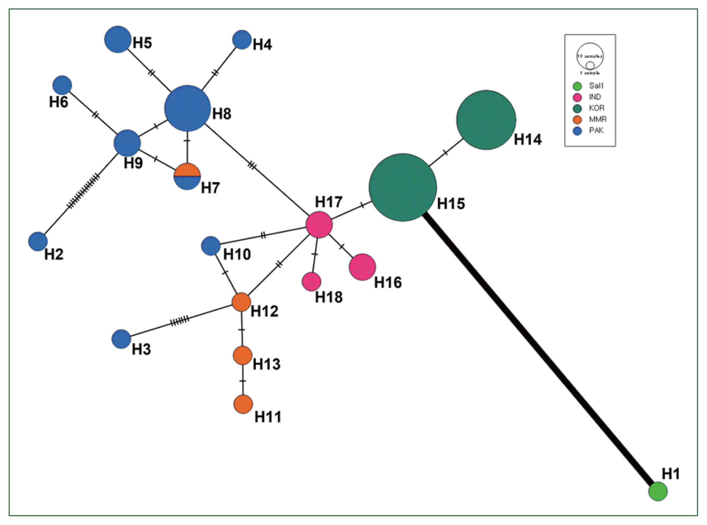 phd-24036f3.gif