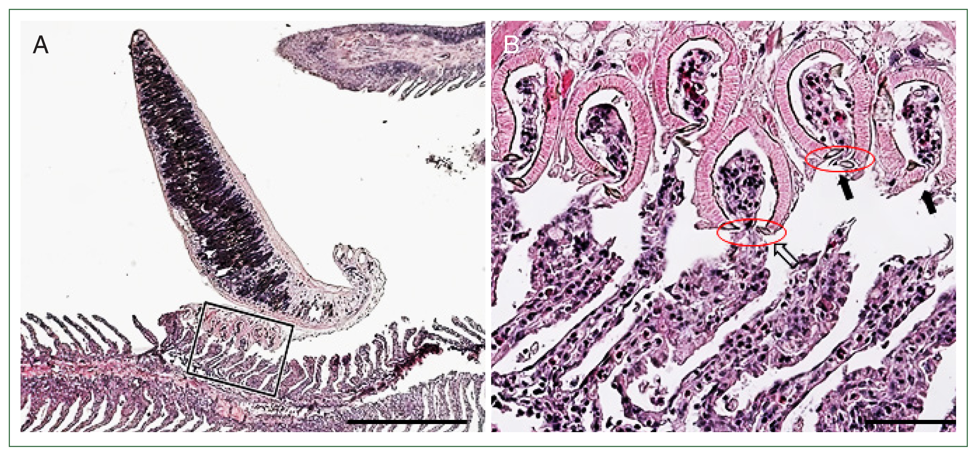 phd-24043f4.jpg