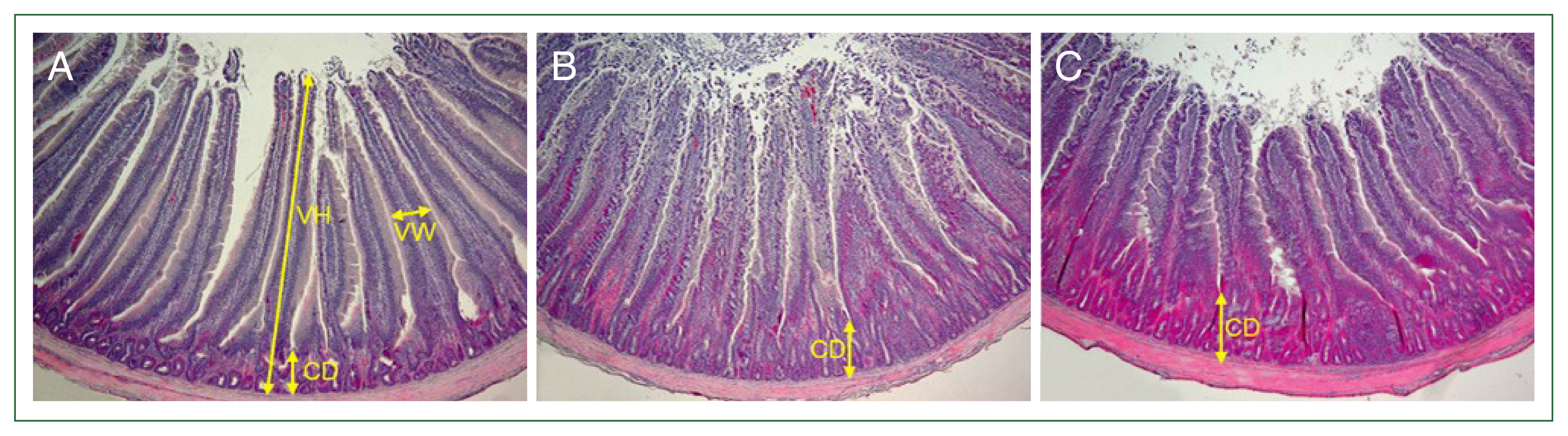 phd-24045f1.gif