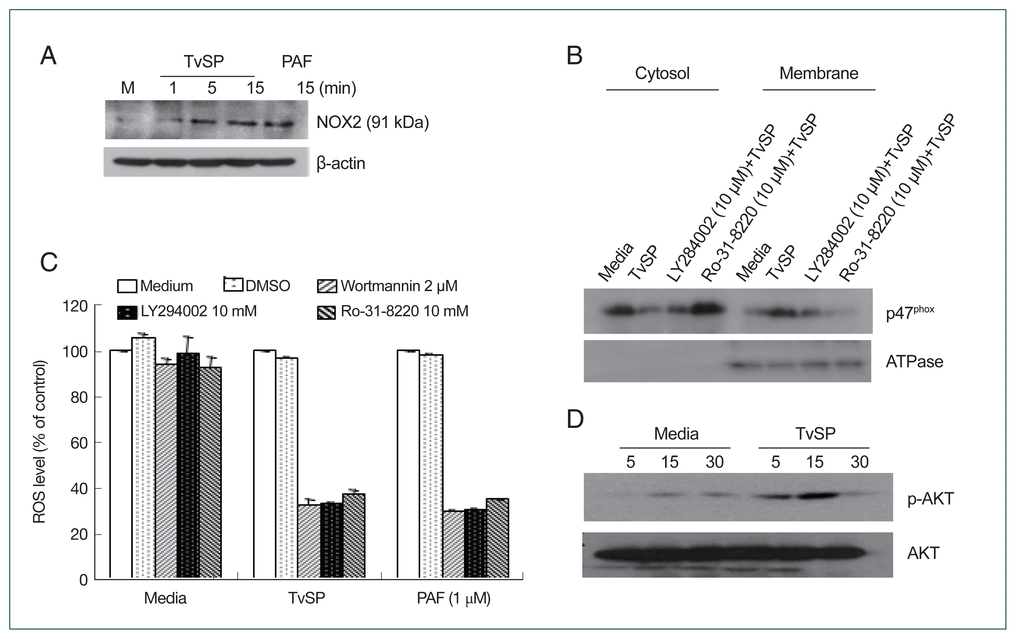 phd-24046f2.gif