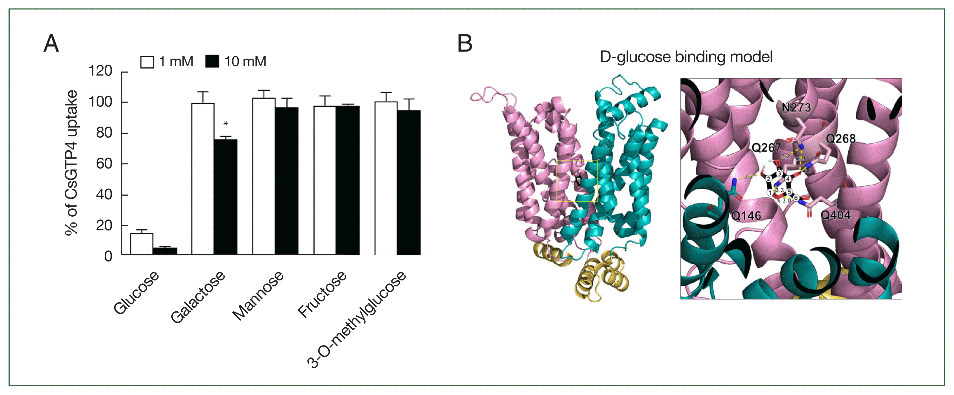 phd-24051f4.gif