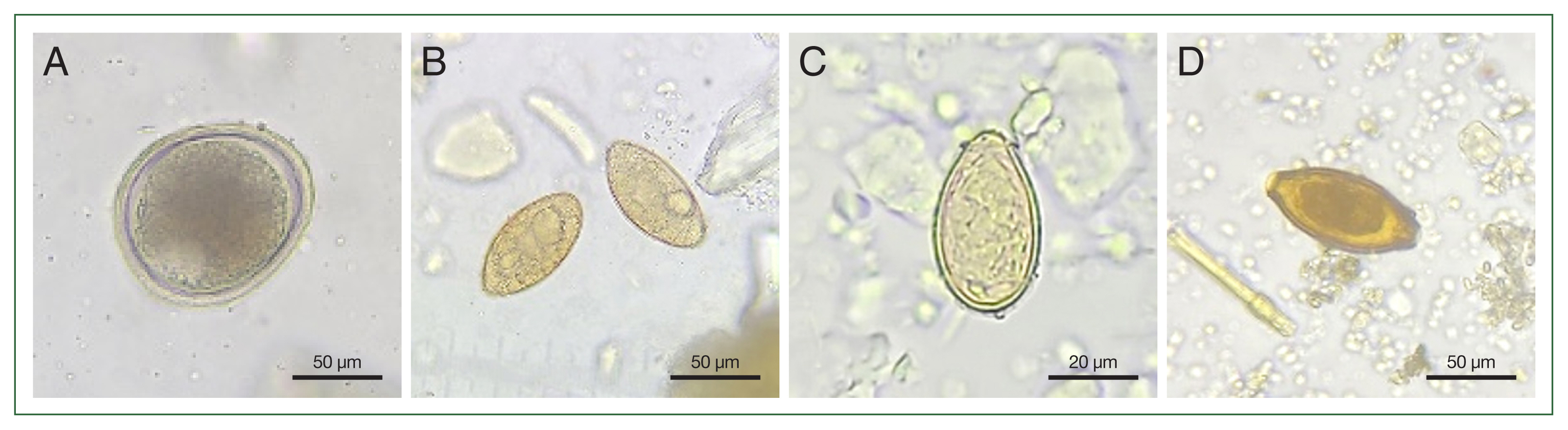 phd-24061f1.jpg
