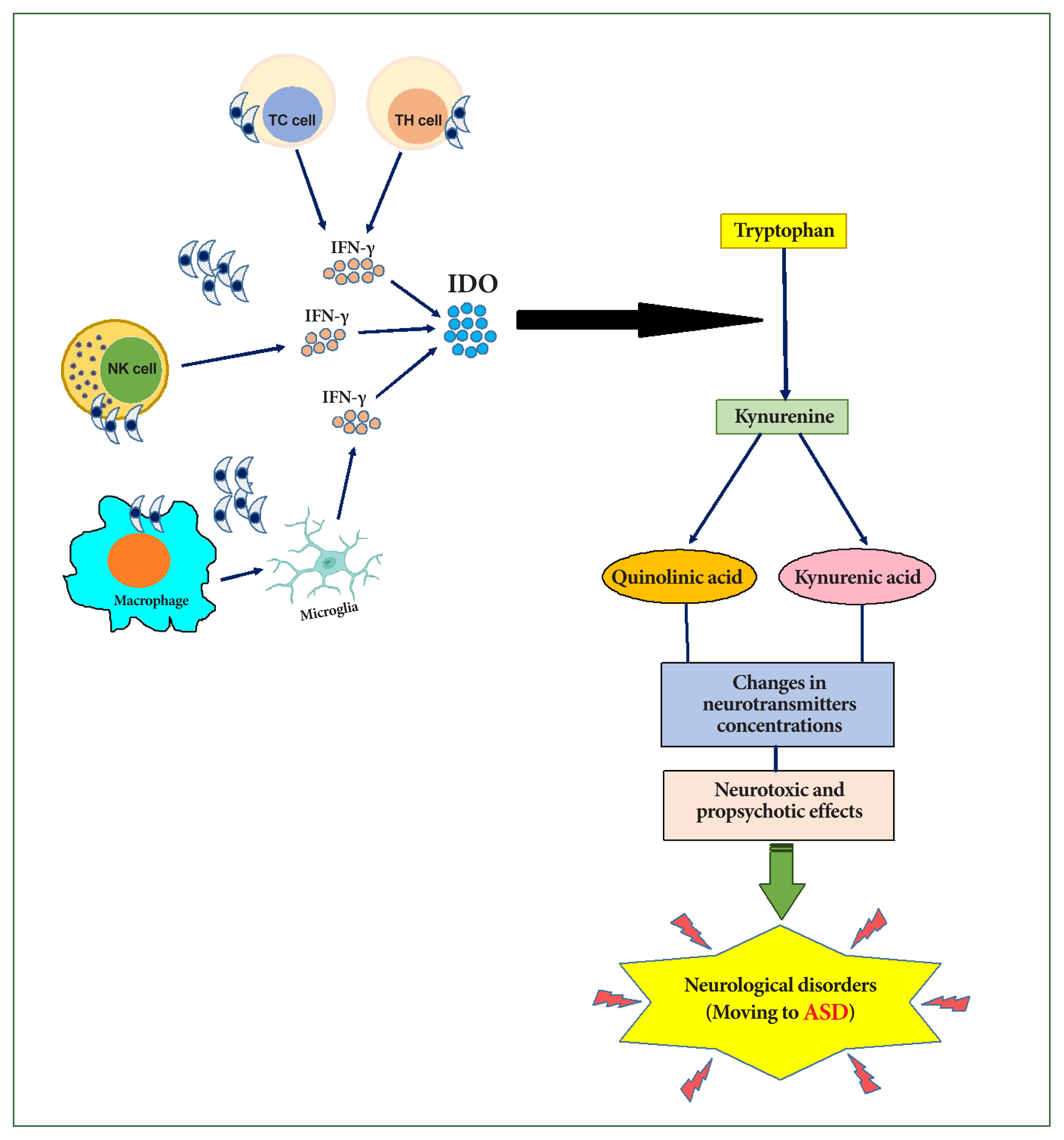 phd-24066f1.jpg
