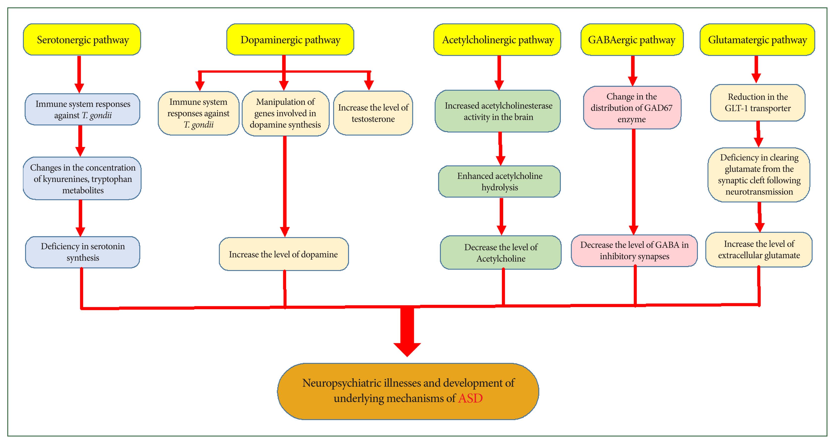 phd-24066f2.jpg