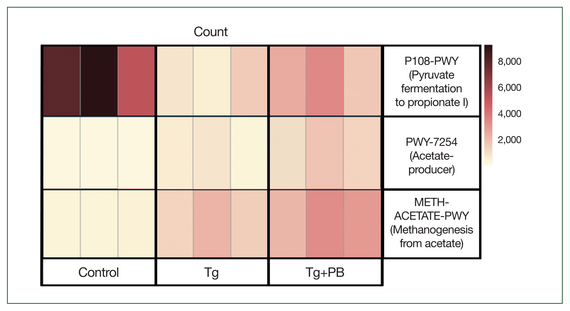 phd-24068f5.gif