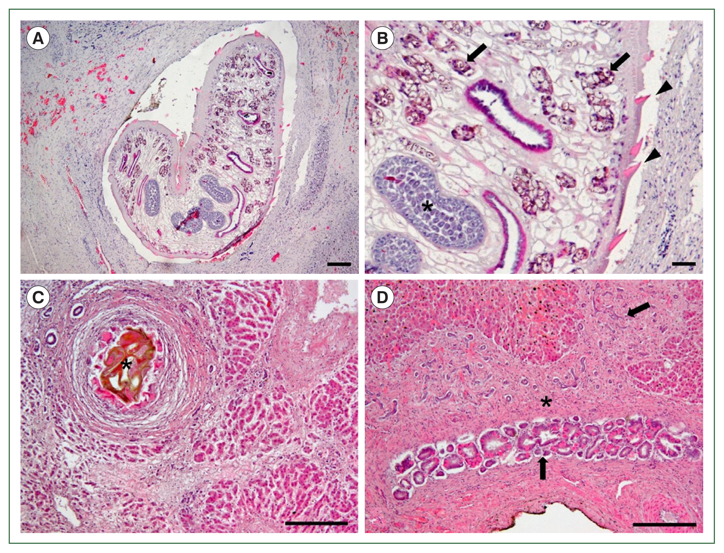 phd-25021f2.jpg