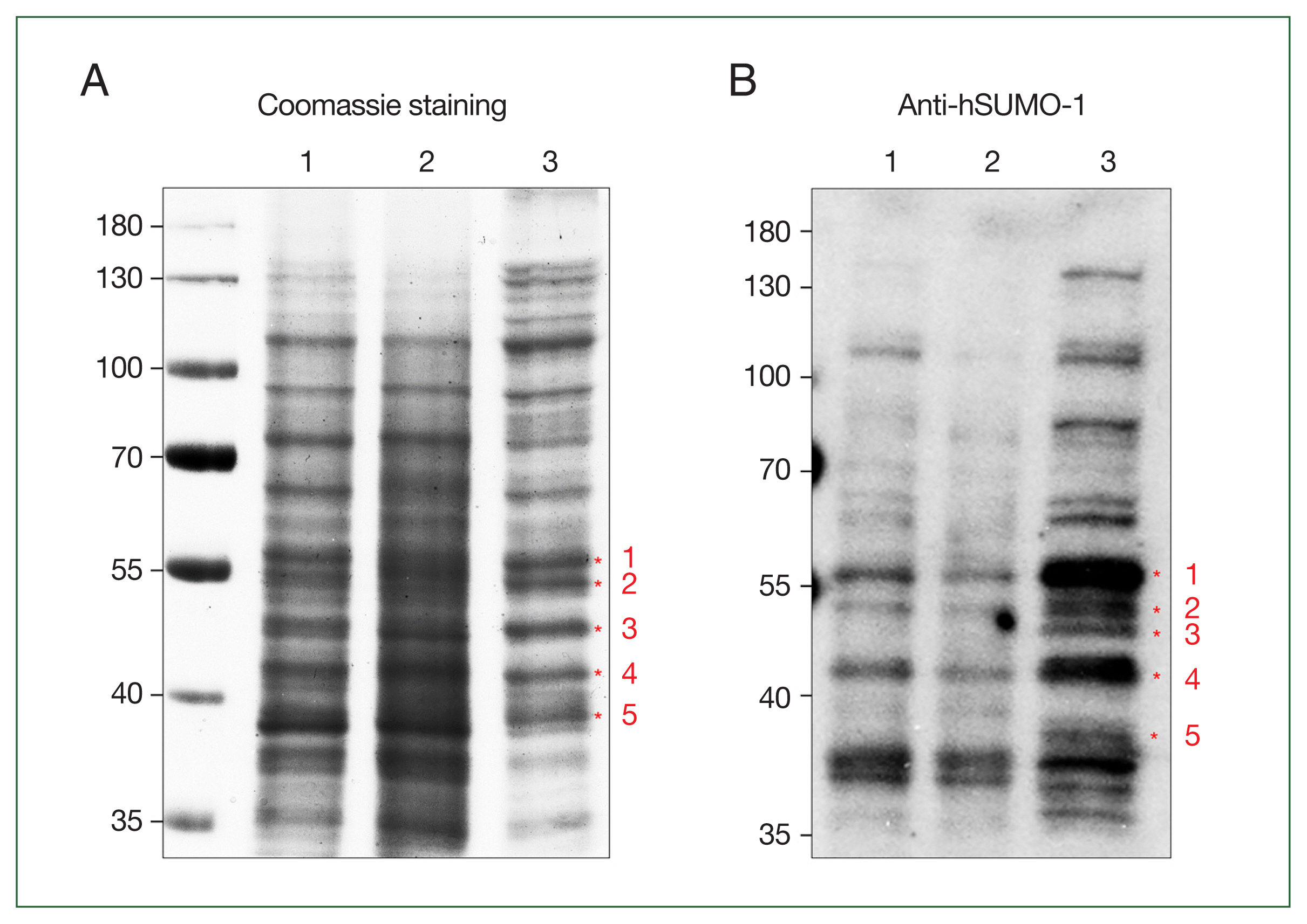 phd-25023f1.jpg