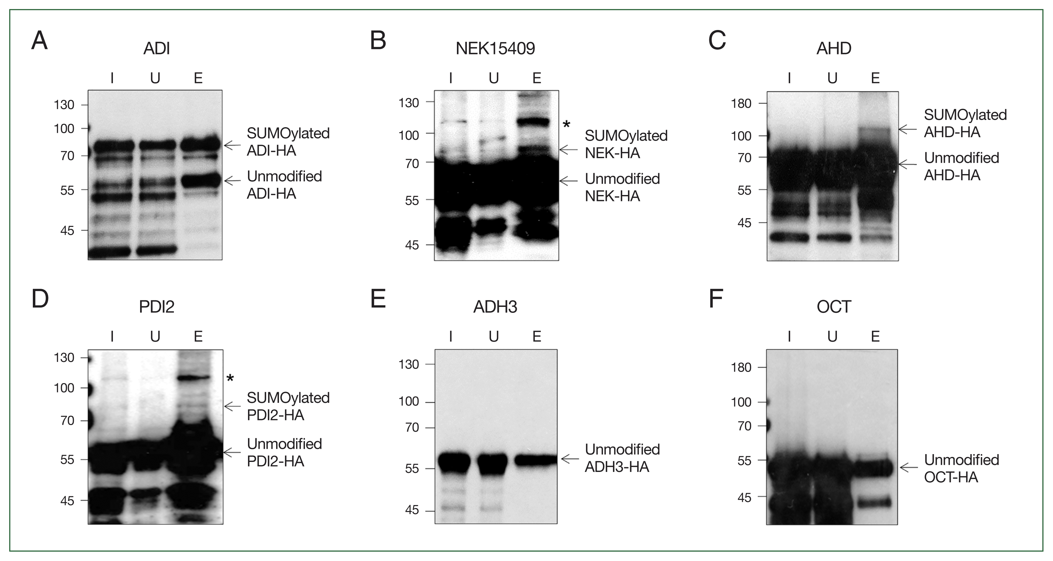 phd-25023f3.gif