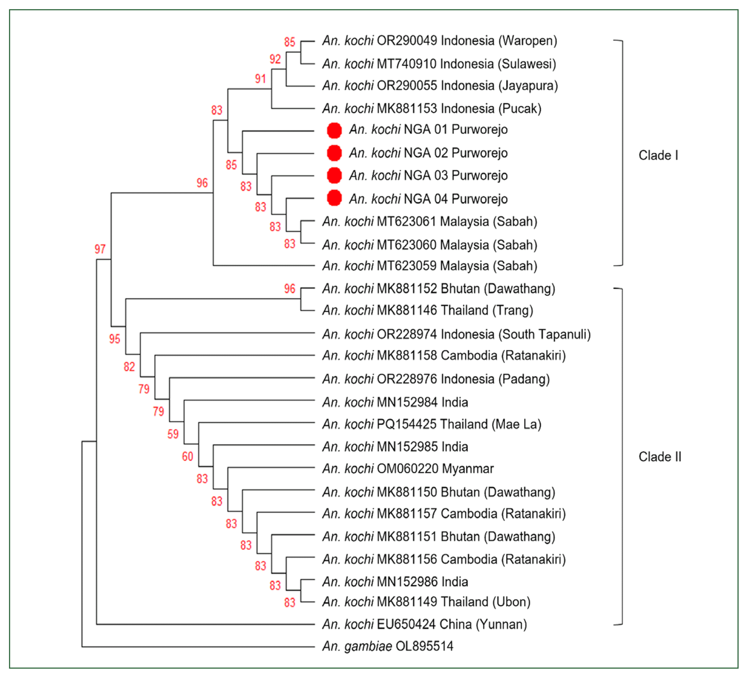 phd-25026f2.gif