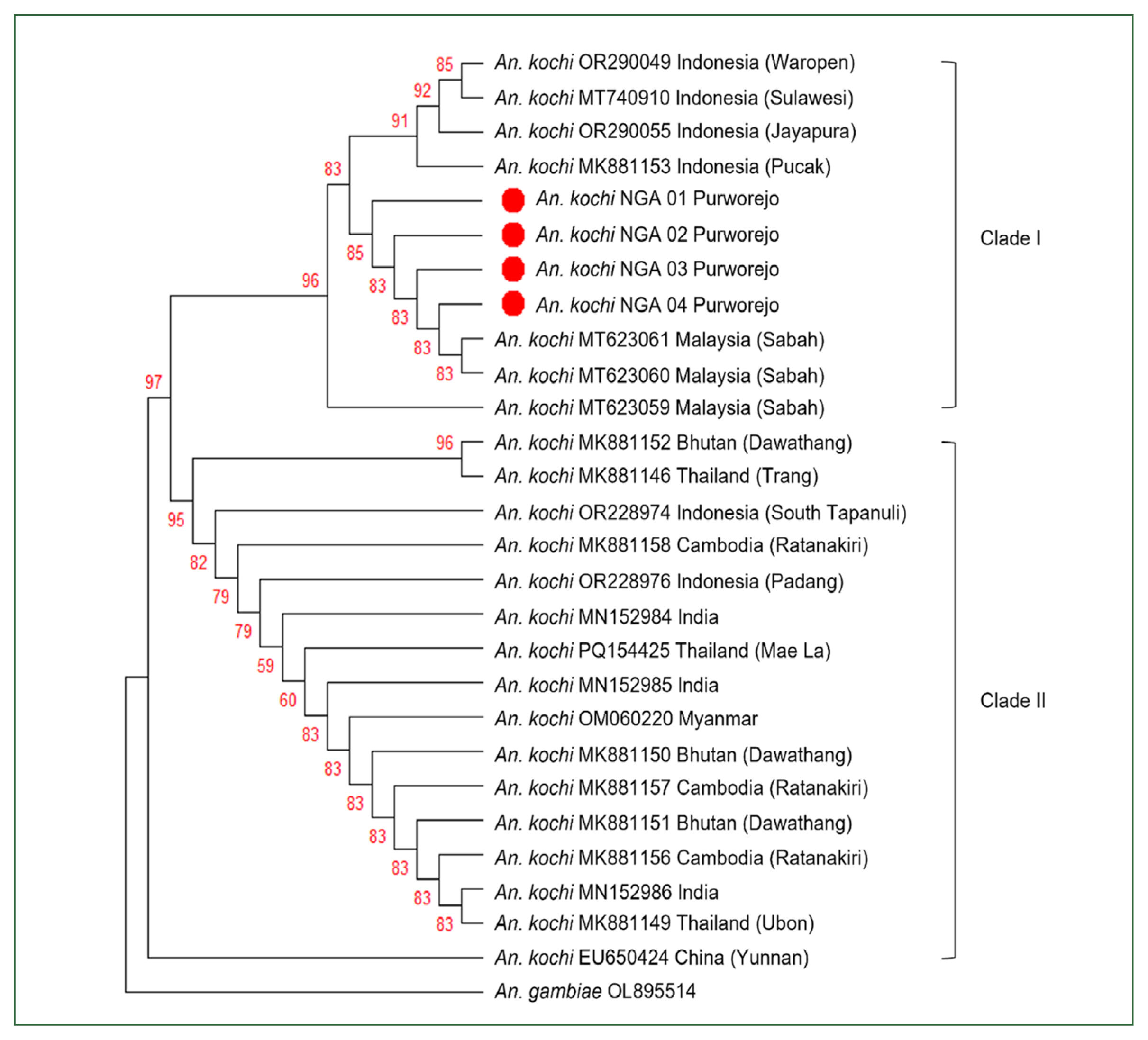 phd-25026f2.jpg