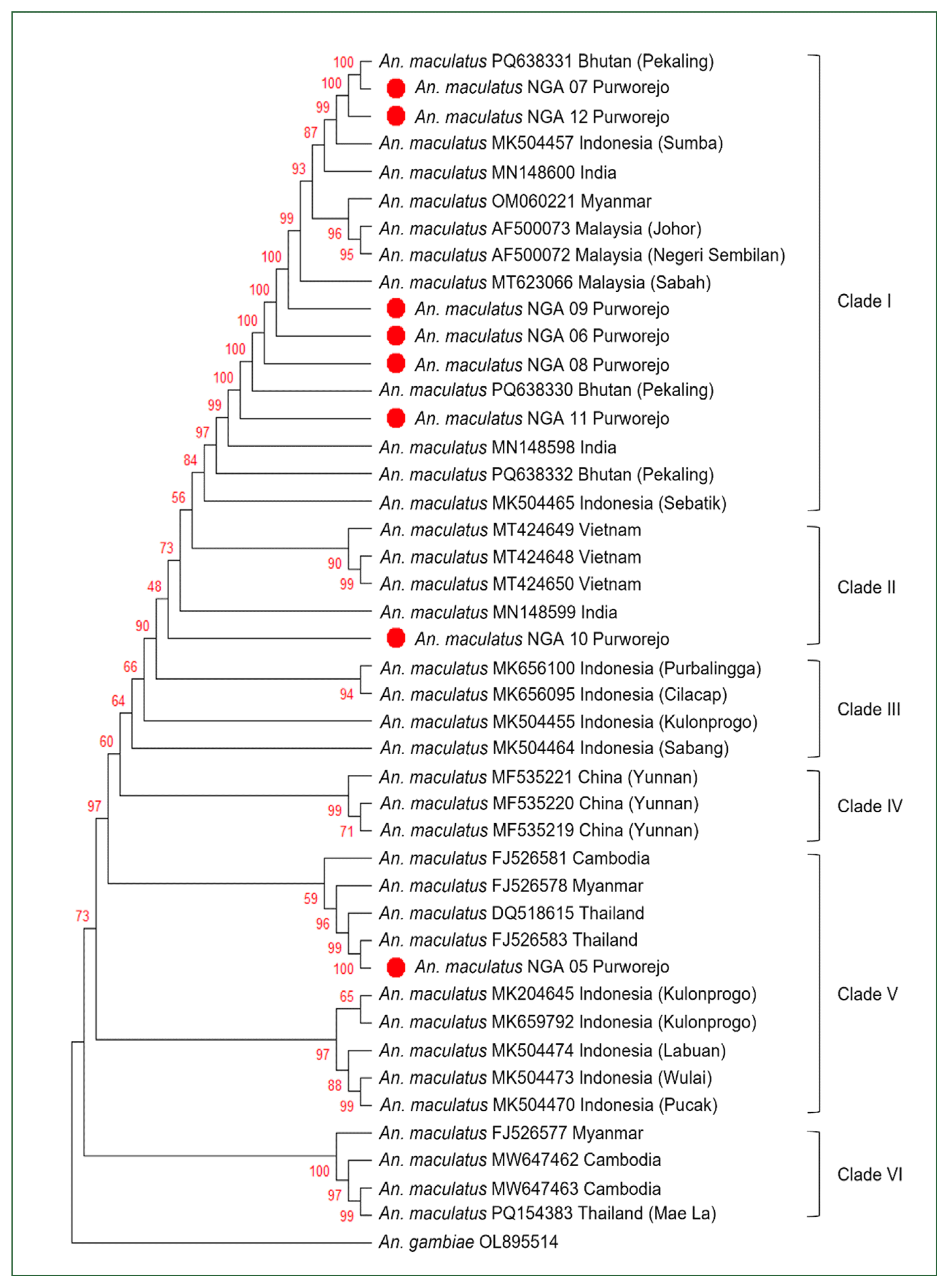 phd-25026f3.gif