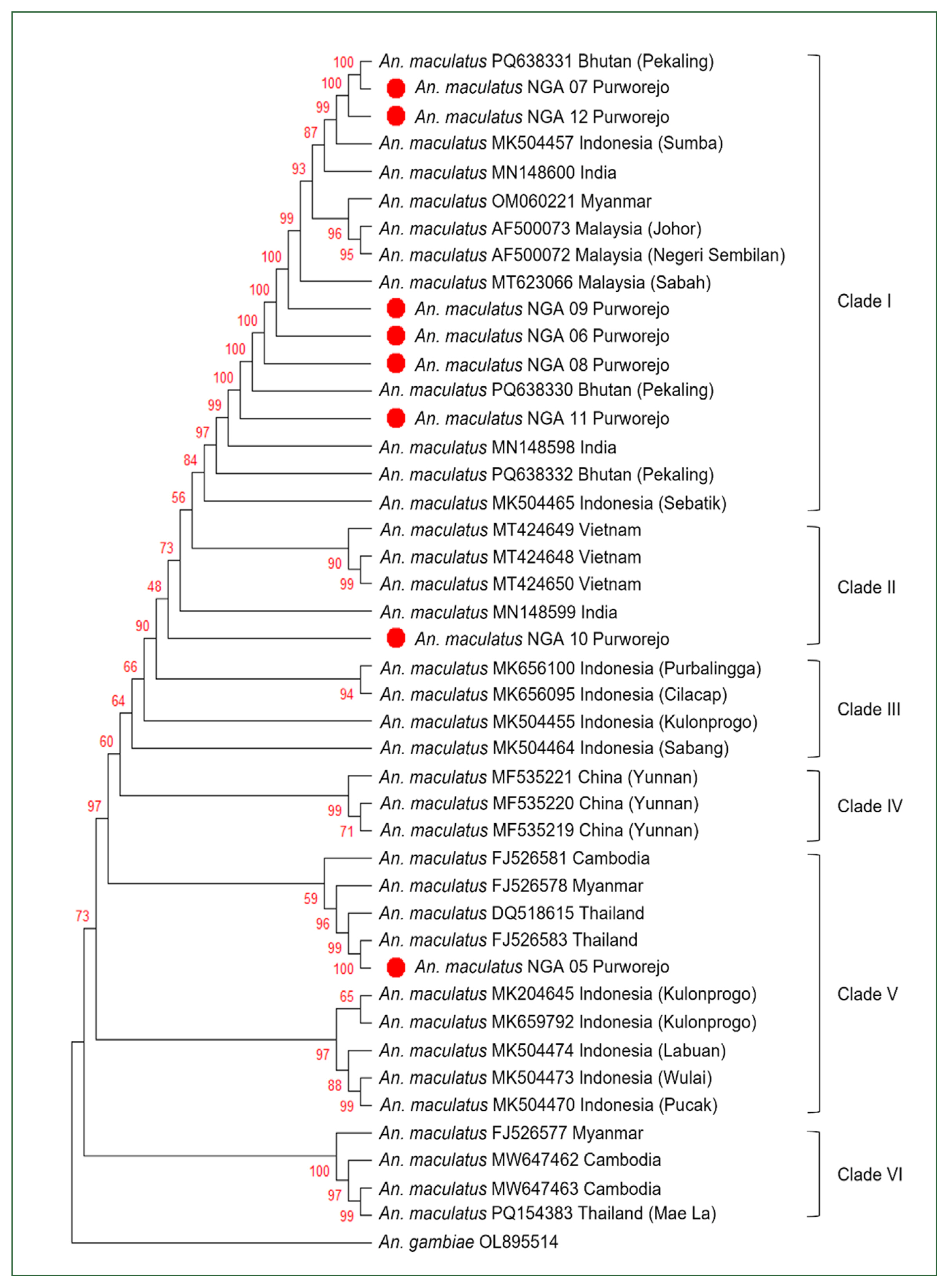 phd-25026f3.jpg