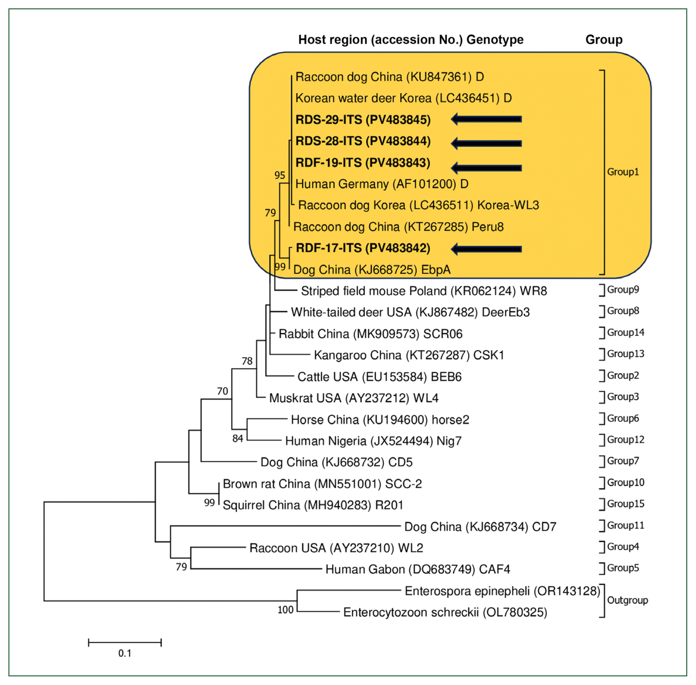 phd-25029f1.gif